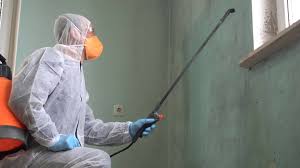 Why You Should Choose Our Mold Remediation Services in Goddard, KS